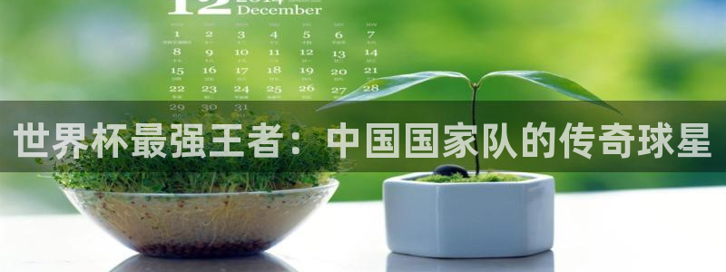 世界杯亚洲区预选赛：世界杯最强王者：中国国家队的传奇球星