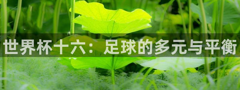 世界杯亚洲区预选赛：世界杯十六：足球的多元与平衡