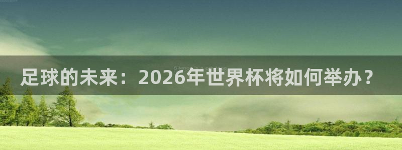 世界杯球队排名：足球的未来：2026年世界杯将如何举办？