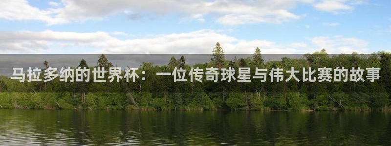 世界杯欧洲区预选赛赛程：马拉多纳的世界杯：一位传奇球星与伟大比赛的故事