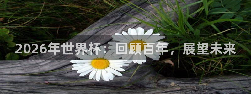 世界杯葡萄牙赛程：2026年世界杯：回顾百年，展望未来