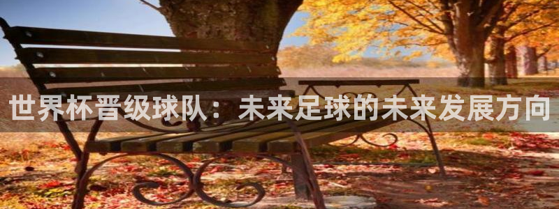 世预赛欧洲赛程表：世界杯晋级球队：未来足球的未来发展方向