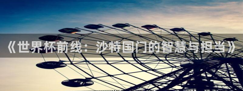 世界杯足球赛：《世界杯前线：沙特国门的智慧与担当》