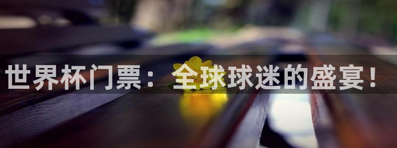 世界杯足球赛：世界杯门票：全球球迷的盛宴！