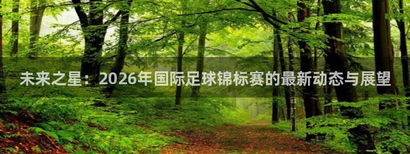 世界杯预选赛直播：未来之星：2026年国际足球锦标赛的最新动态与展望